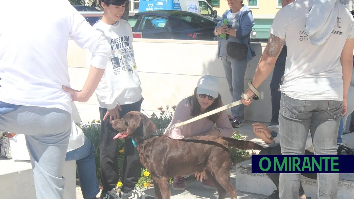 Cãominhada Solidária reúne centenas de cães no Cartaxo