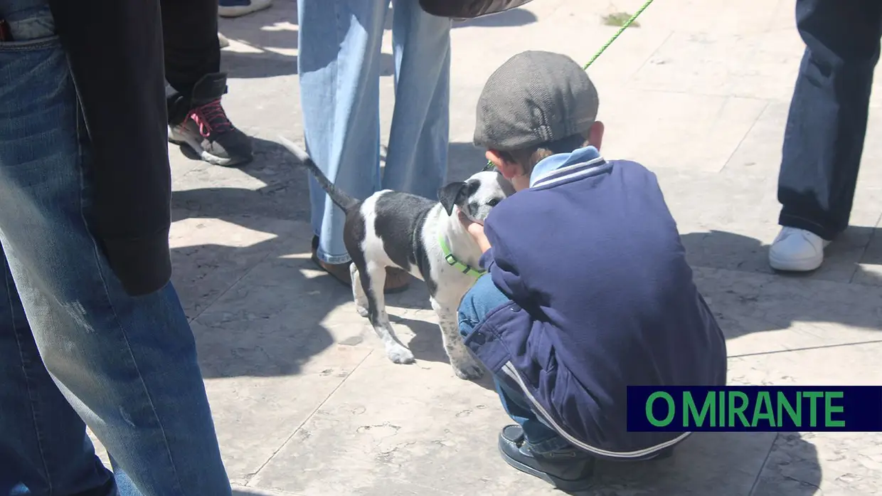 Cãominhada Solidária reúne centenas de cães no Cartaxo