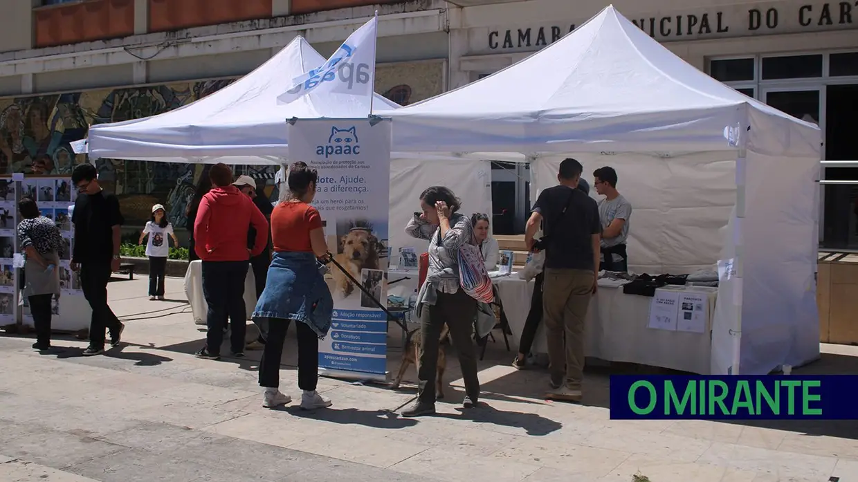 Cãominhada Solidária reúne centenas de cães no Cartaxo