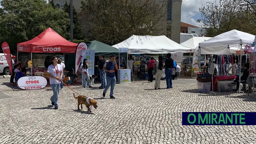 Festival do Cão anima Jardim da Liberdade em Santarém