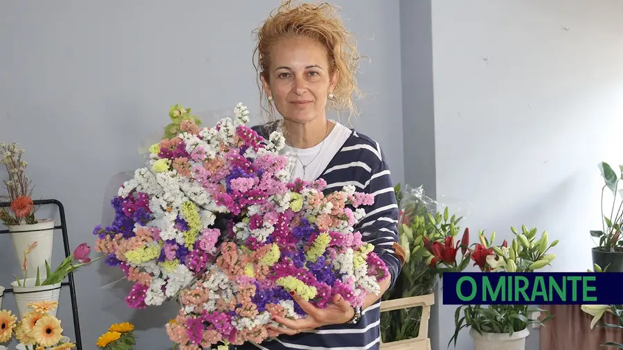 O poder das plantas: "Há pessoas que compram só para se sentirem melhor”