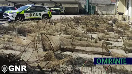 GNR apreende 132 redes de pesca ilegais na zona do Paul do Boquilobo