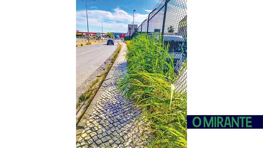 Um conceito inovador de horta urbana