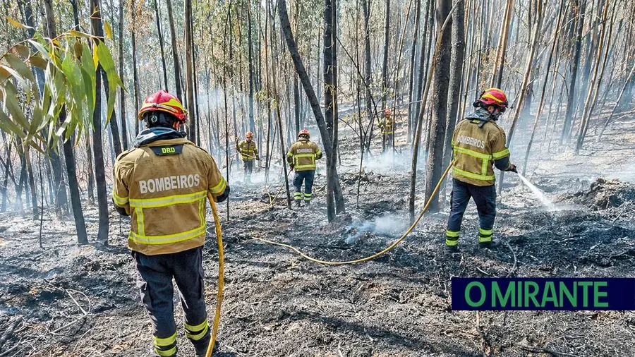 Ourém lidera fogos no distrito; Benavente, Santarém e Coruche completam mapa de pressão