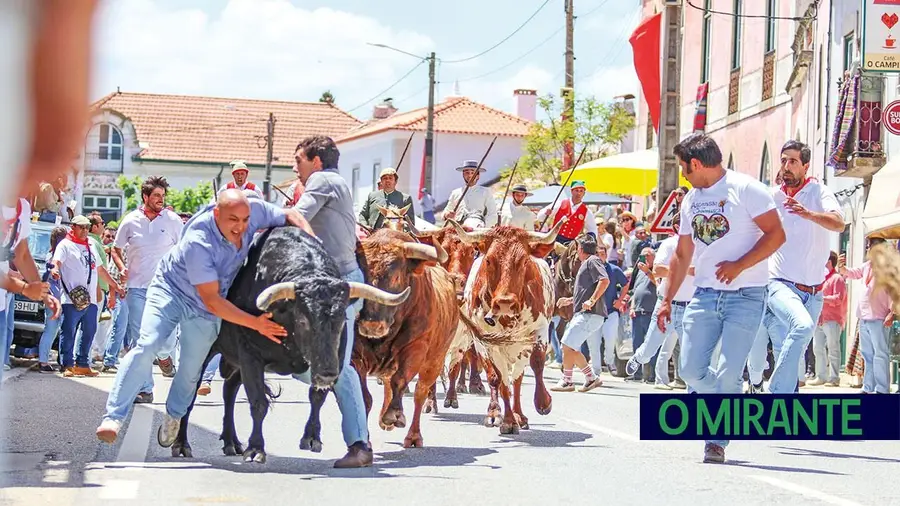 Quinta-Feira de Ascensão: a Chamusca entre a espiga, os toiros e a saudade dos emigrantes