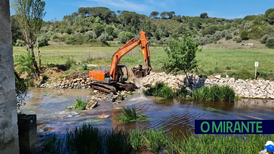 Barreiras nos rios estão a empurrar peixes migradores para o desaparecimento