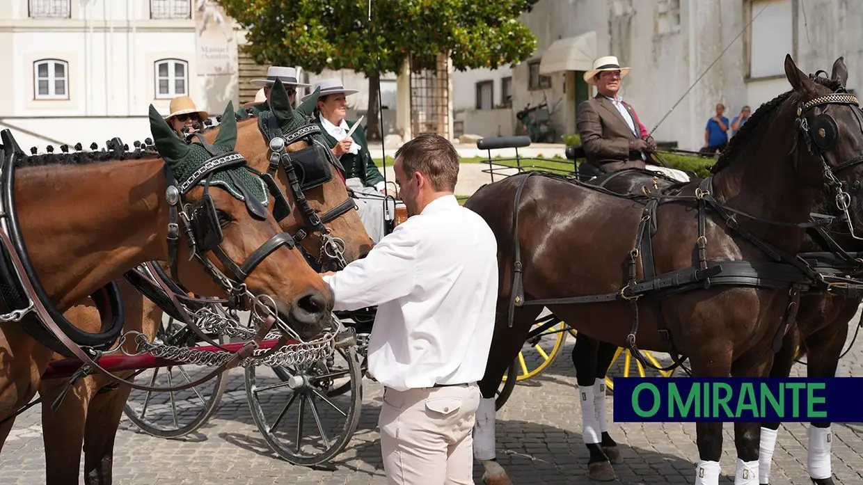 Romaria a São Martinho marca regresso da tradição equestre à Golegã