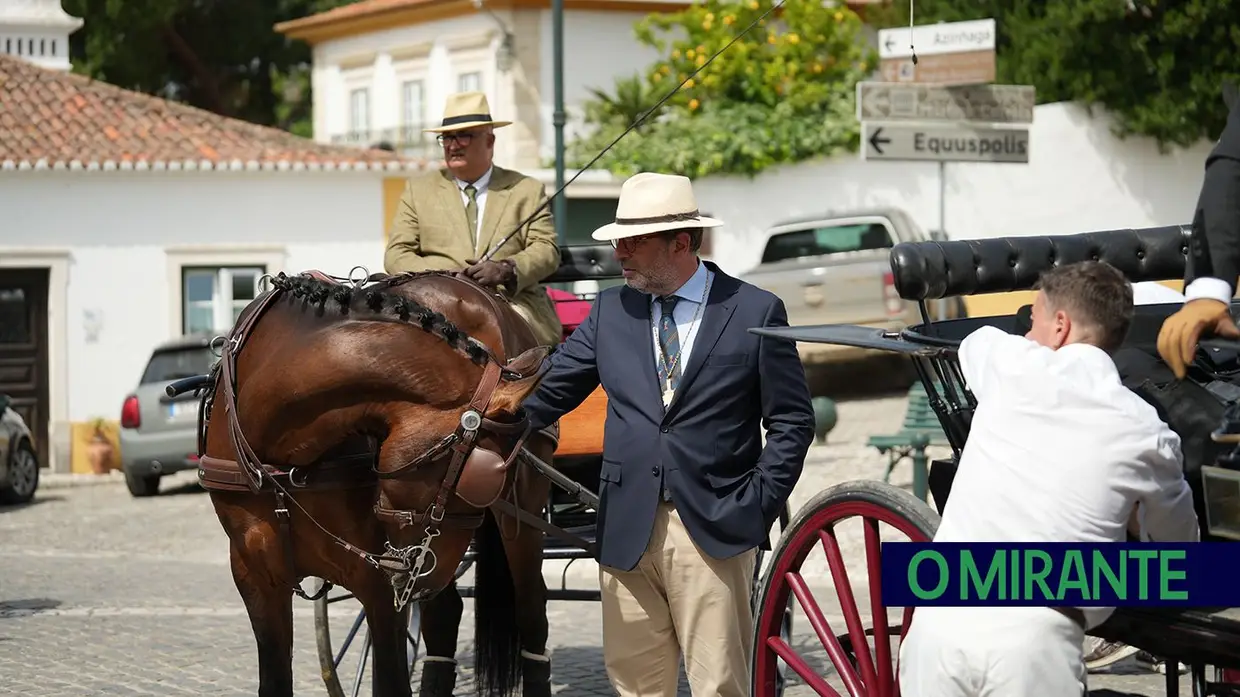 Romaria a São Martinho marca regresso da tradição equestre à Golegã