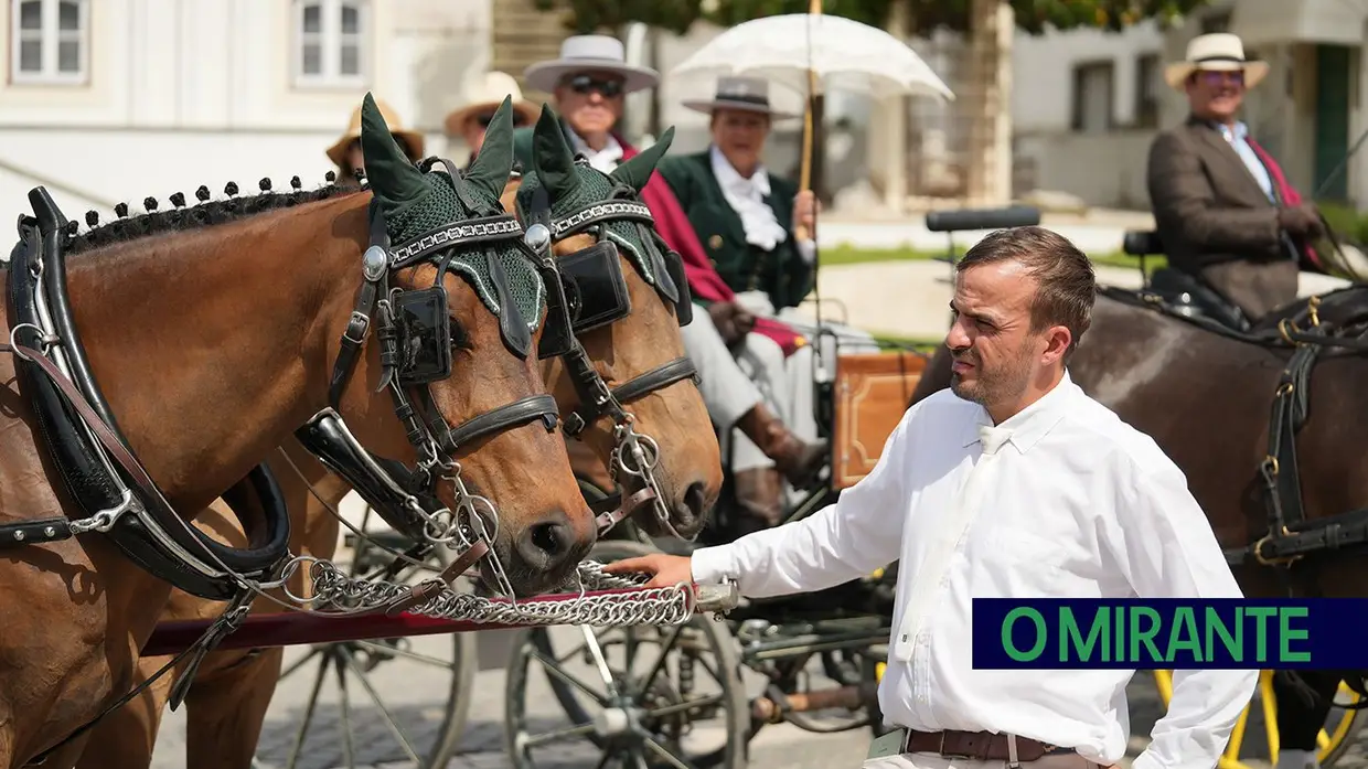 Romaria a São Martinho marca regresso da tradição equestre à Golegã