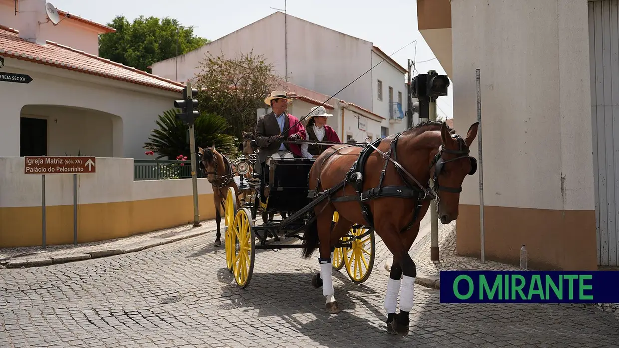 Romaria a São Martinho marca regresso da tradição equestre à Golegã