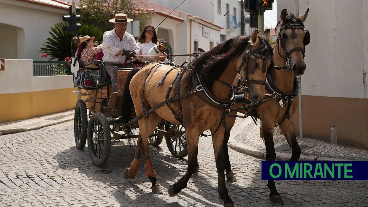 Romaria a São Martinho marca regresso da tradição equestre à Golegã