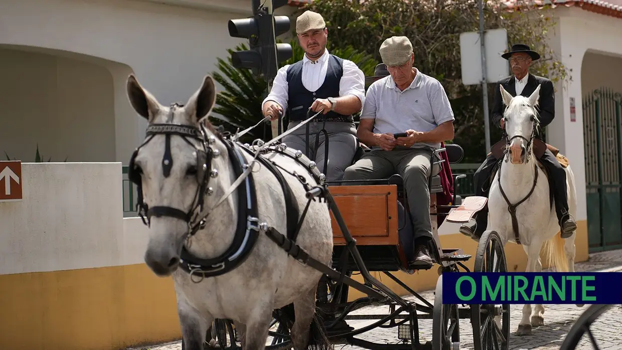 Romaria a São Martinho marca regresso da tradição equestre à Golegã
