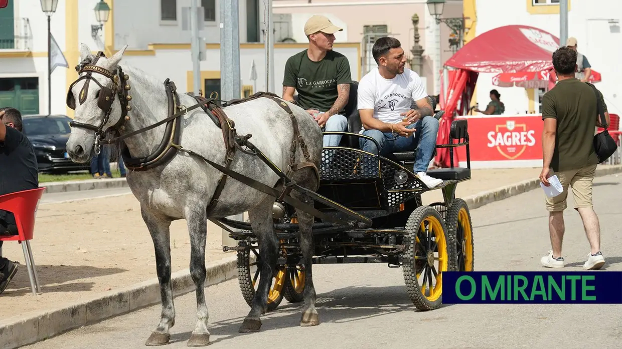 ExpoÉgua anima Golegã até domingo com cavalos, gastronomia e Festival da Biosfera