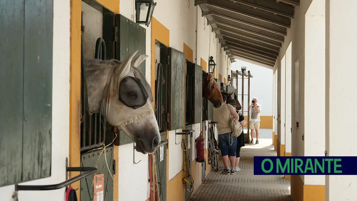 ExpoÉgua anima Golegã até domingo com cavalos, gastronomia e Festival da Biosfera