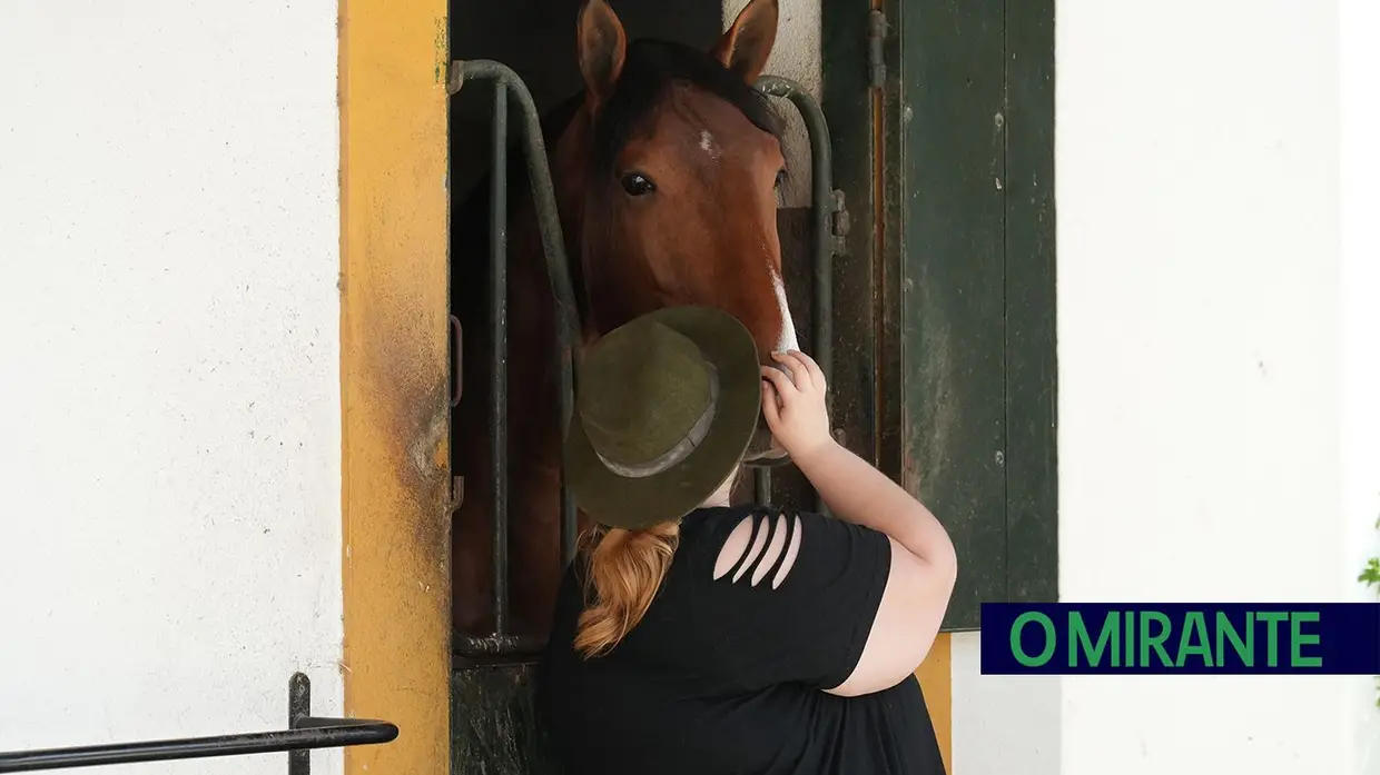 ExpoÉgua anima Golegã até domingo com cavalos, gastronomia e Festival da Biosfera