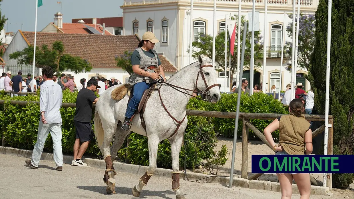 ExpoÉgua anima Golegã até domingo com cavalos, gastronomia e Festival da Biosfera