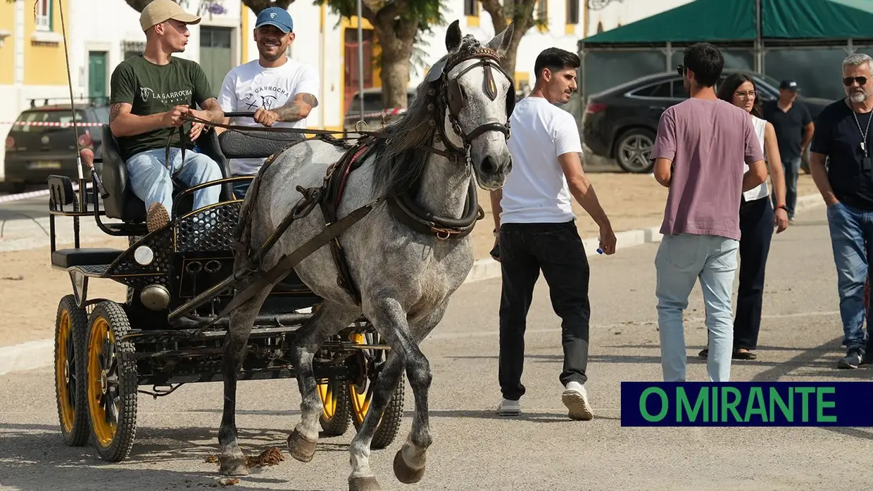 ExpoÉgua anima Golegã até domingo com cavalos, gastronomia e Festival da Biosfera