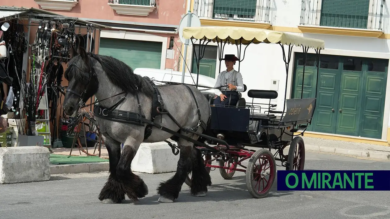 ExpoÉgua anima Golegã até domingo com cavalos, gastronomia e Festival da Biosfera