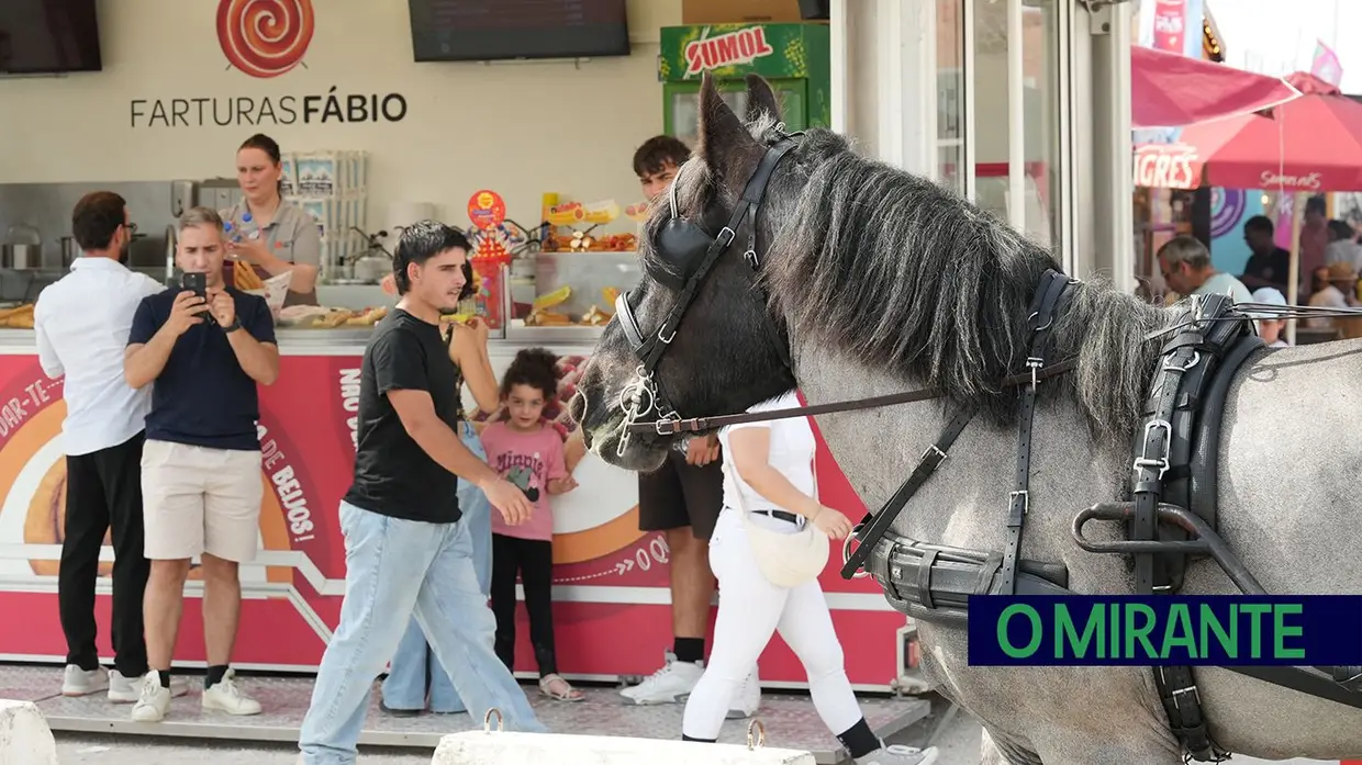 ExpoÉgua anima Golegã até domingo com cavalos, gastronomia e Festival da Biosfera