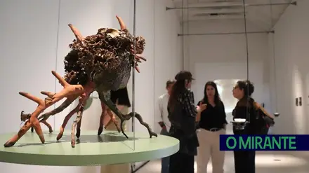 Museu Ibérico de Arqueologia e Arte inaugura duas novas exposições em Abrantes