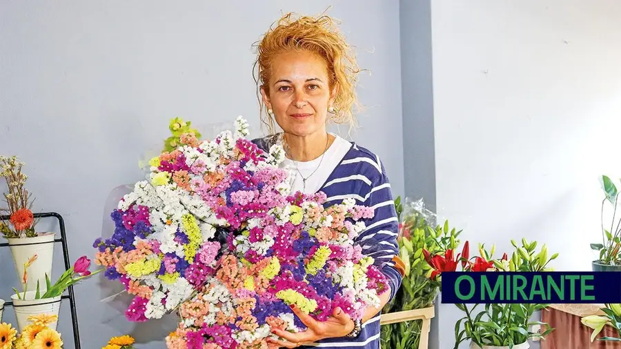 Plantas são decoração, companhia e conforto