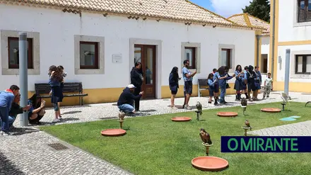 Falcoaria Real leva património da UNESCO à rota dos museus nacionais