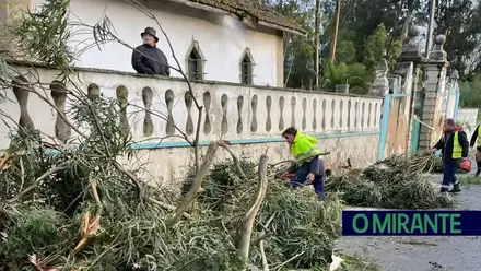 Municípios com verbas insuficientes para reparar danos na região Oeste e Lisboa