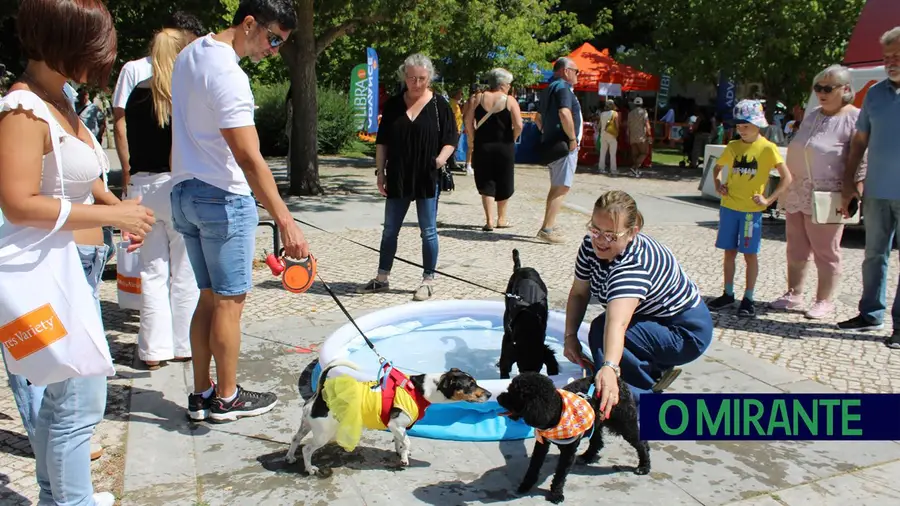 Festival do Cão hoje no Jardim da Liberdade em Santarém