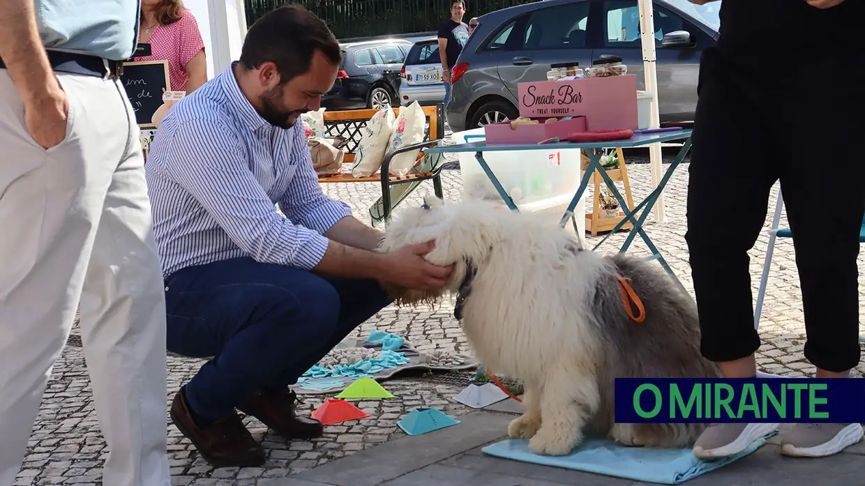 Amigos de 4 patas invadiram Jardim da Liberdade em Santarém