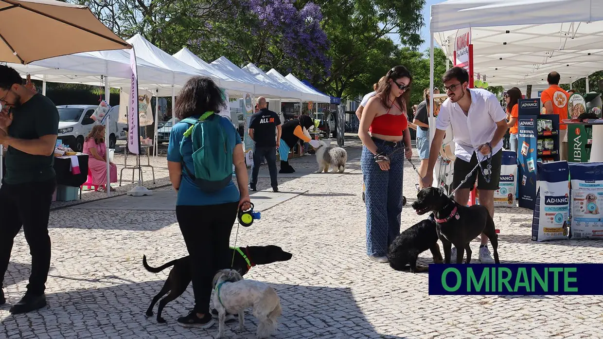 Amigos de 4 patas invadiram Jardim da Liberdade em Santarém