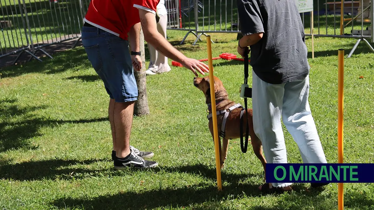Amigos de 4 patas invadiram Jardim da Liberdade em Santarém