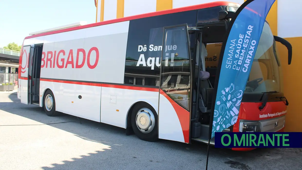 Boccia ensinado a técnicos das IPSS do Cartaxo para chegar a mais utentes