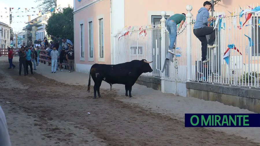 Quatro feridos graves nas largadas marcam balanço da Feira de Maio em Azambuja