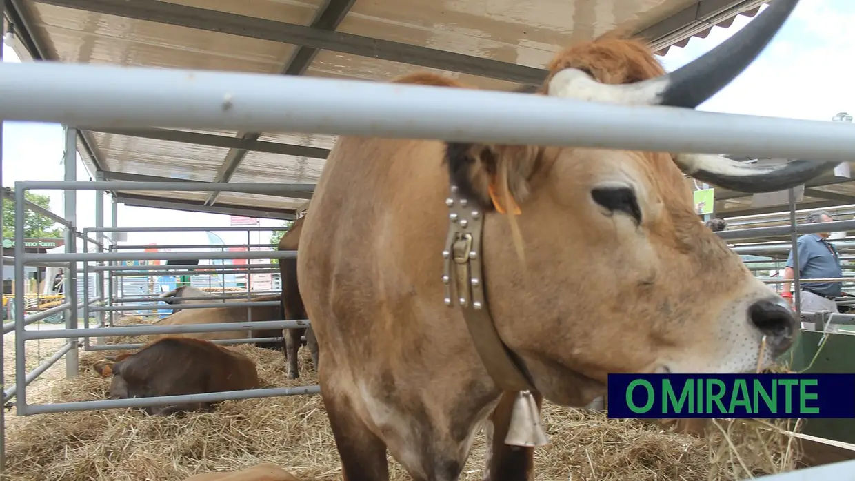 Dois ministros na inauguração da Feira Nacional de Agricultura em Santarém