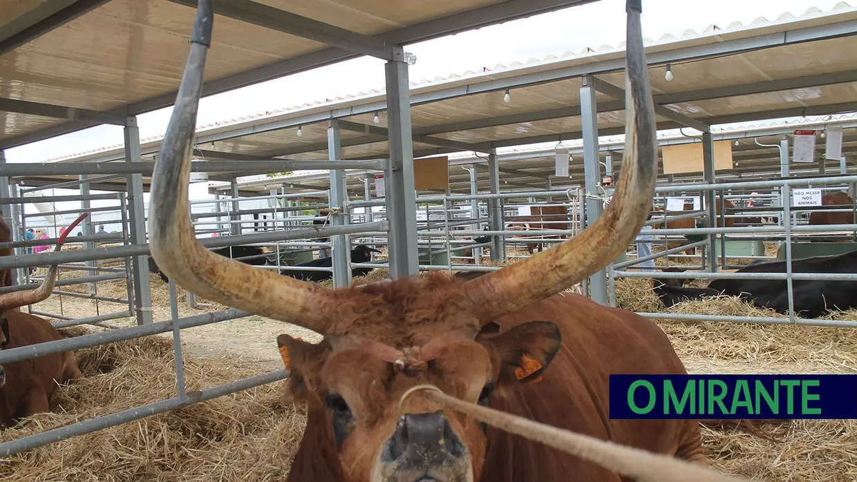 Dois ministros na inauguração da Feira Nacional de Agricultura em Santarém