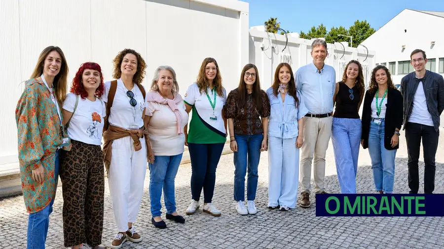Saúde mental em Ourém acompanhou quase 1.400 utentes em cinco anos