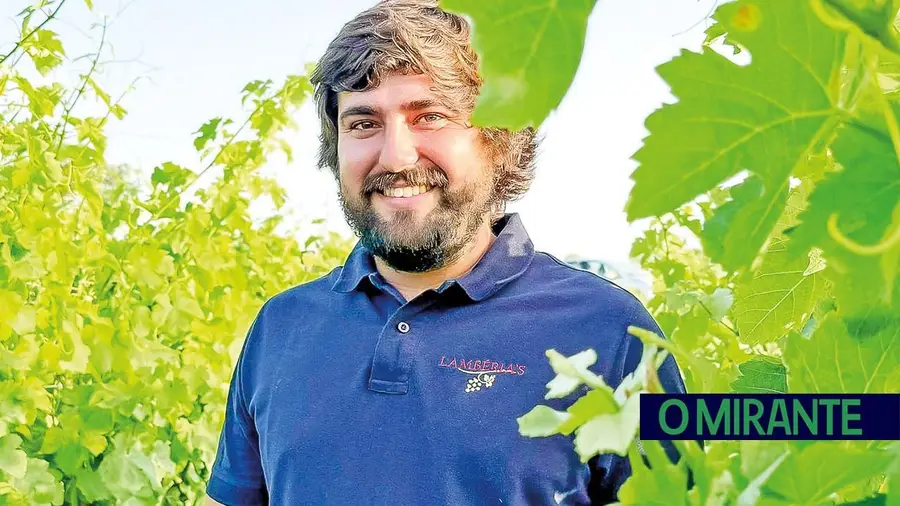 Vinho Lambéria’s tem os saberes acumulados de uma família de pequenos produtores