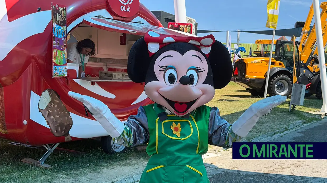 Empresas, empresários e visitantes na Feira Nacional de Agricultura - 4