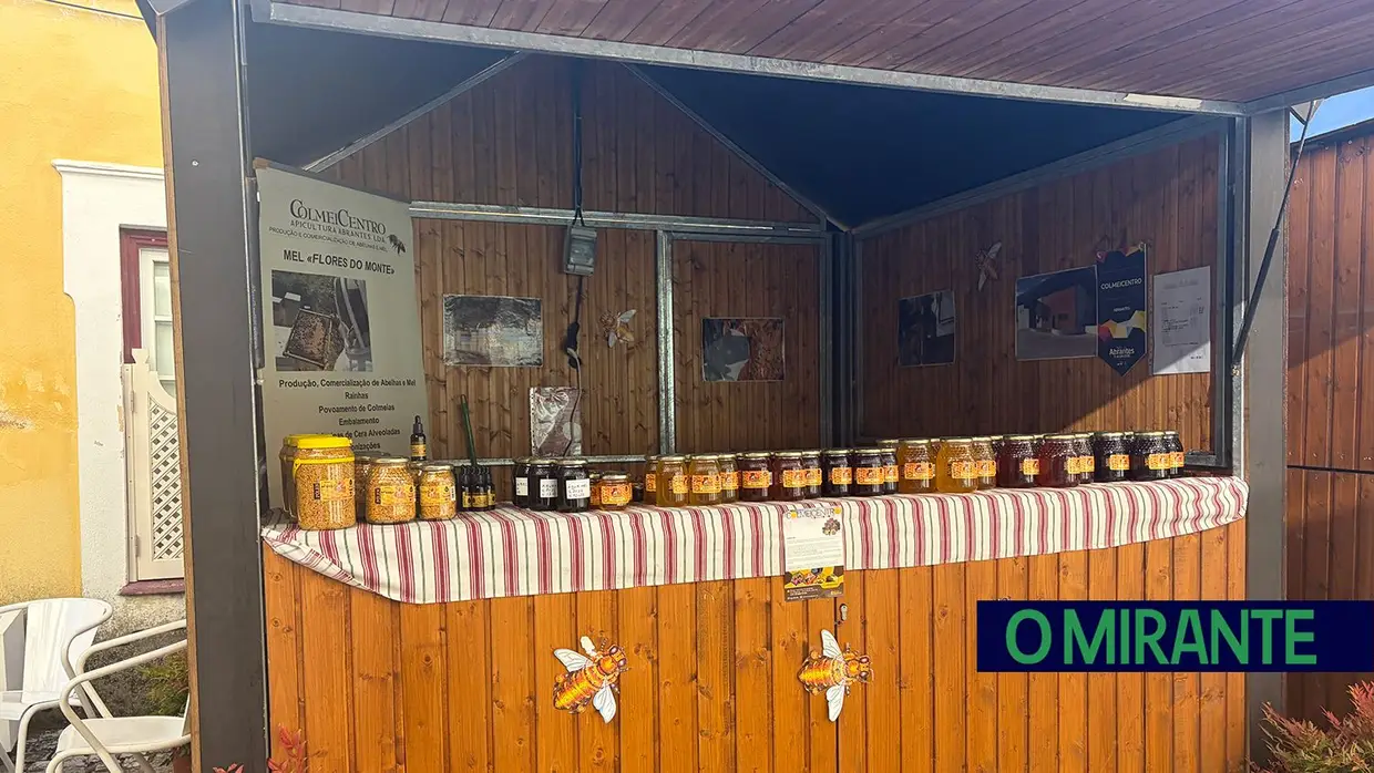 Festas de Abrantes já começaram e prometem celebração e convívio