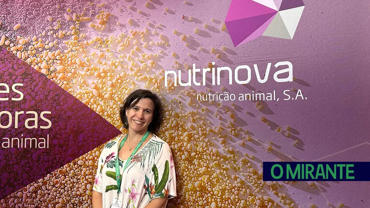 Empresas, empresários e visitantes na Feira Nacional de Agricultura - 5