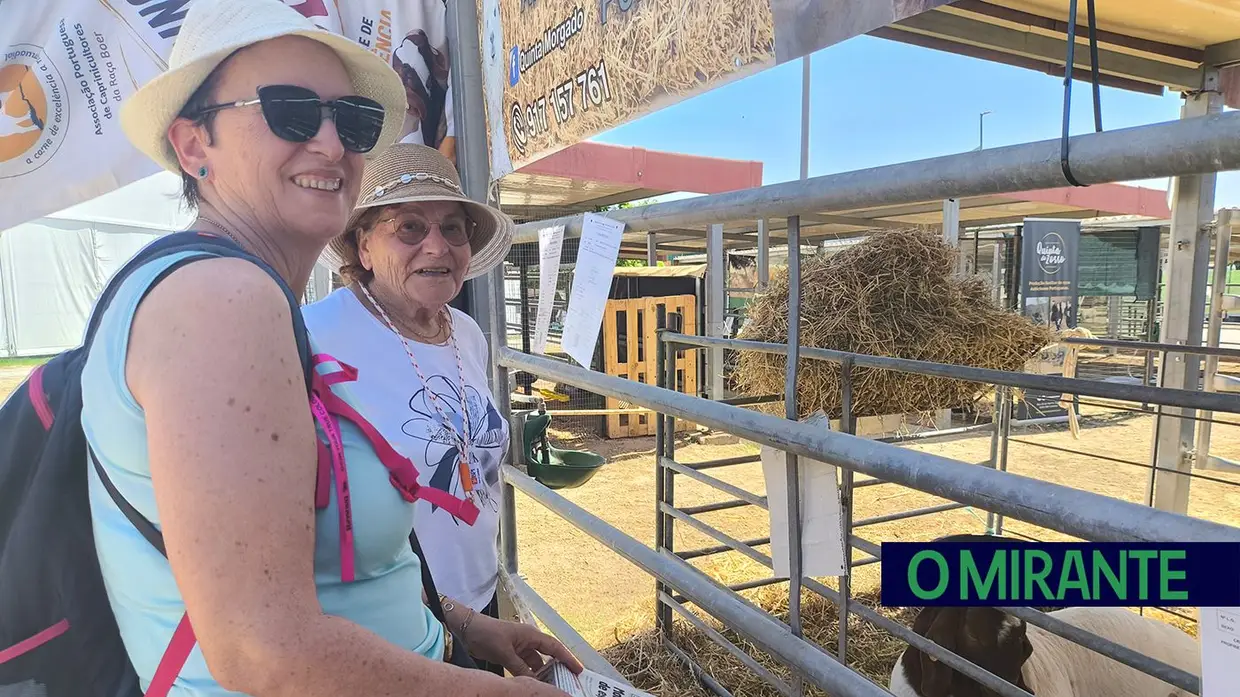Empresas, empresários e visitantes na Feira Nacional de Agricultura - 5