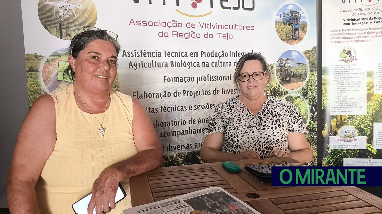 Empresas, empresários e visitantes na Feira Nacional de Agricultura - 6