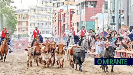 Muita música e tradição nas Festas da Cidade do Cartaxo