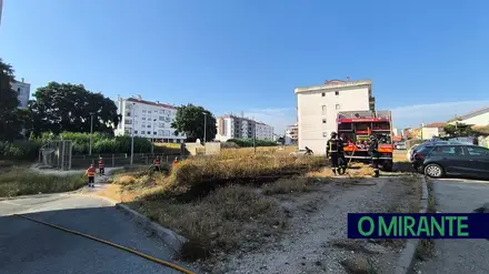 Incêndio em zona urbana de Santarém sublinha importância da limpeza de terrenos