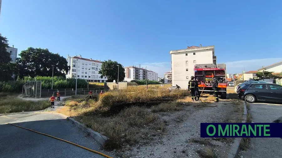 Incêndio em zona urbana de Santarém sublinha importância da limpeza de terrenos