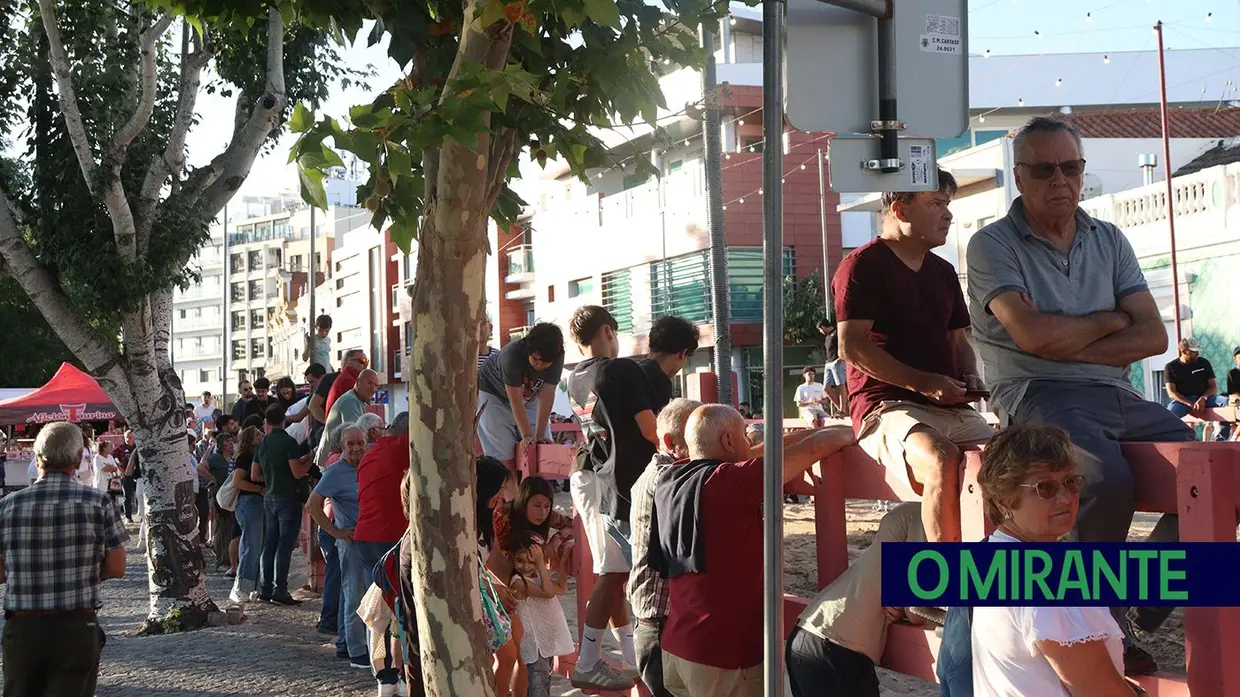 Festas da Cidade do Cartaxo arrancam com música, tradição e animação taurina