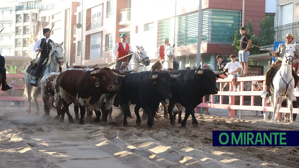 Festas da Cidade do Cartaxo arrancam com música, tradição e animação taurina