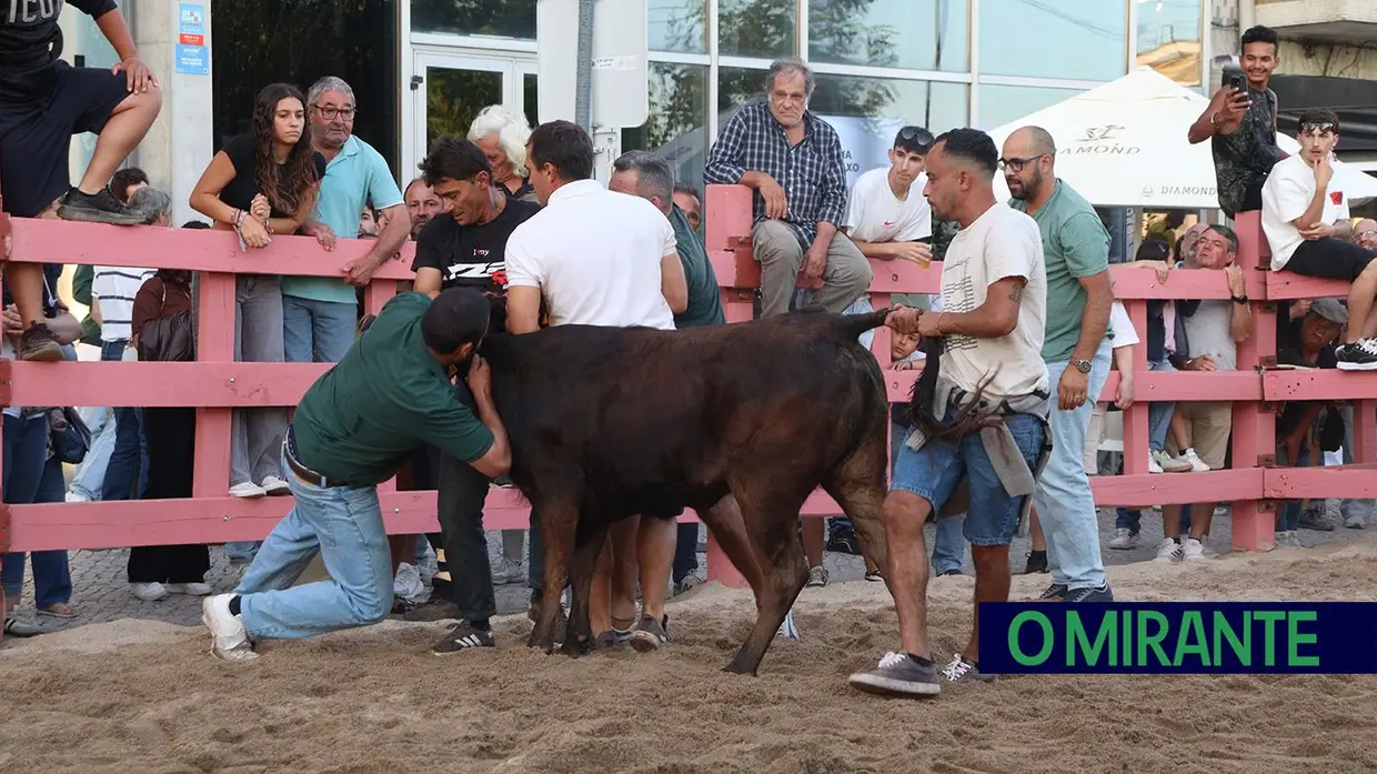 Festas da Cidade do Cartaxo arrancam com música, tradição e animação taurina