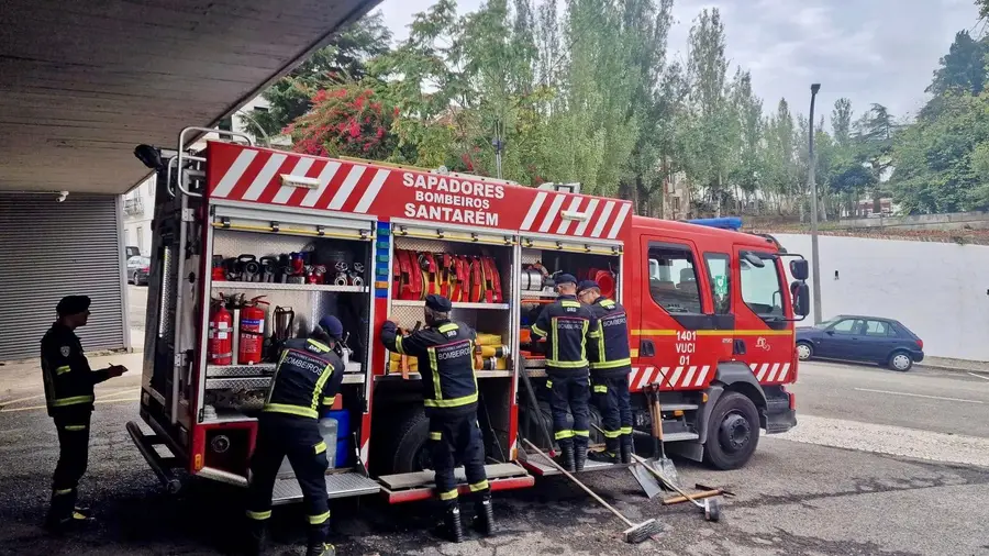 Trucidada por comboio na Ribeira de Santarém