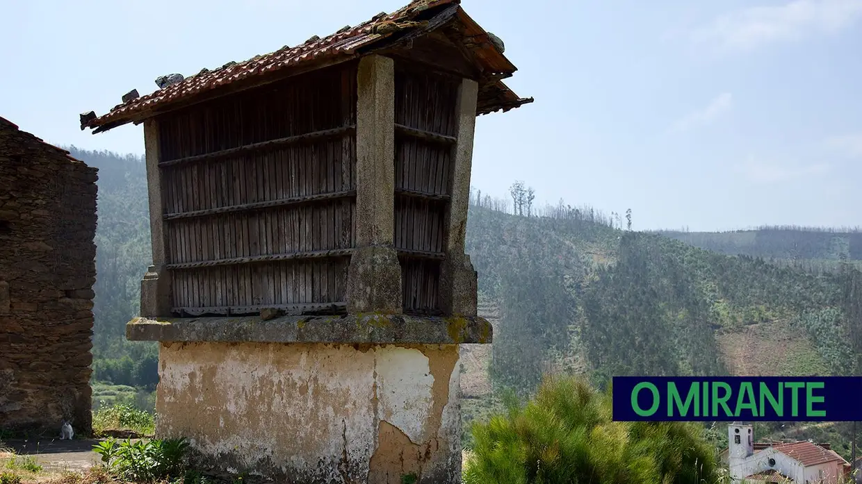“Uma área de eucaliptos não é uma floresta é uma exploração industrial”